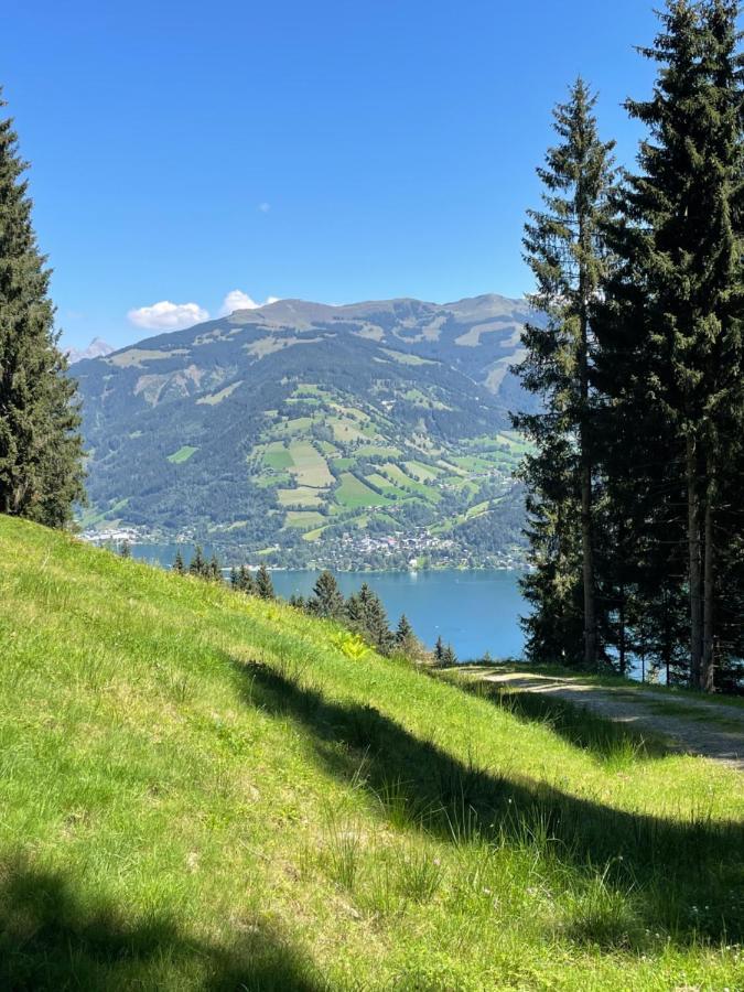 Schwaiger Appartements Zell am See Esterno foto